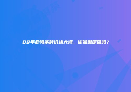 09年勐海茶砖价格大涨，你知道原因吗？
