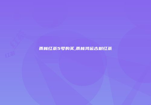 雨林红茶5号购买,雨林鸿运古树红茶