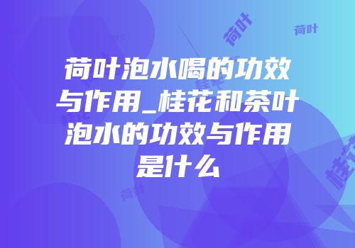 荷叶泡水喝的功效与作用_桂花和茶叶泡水的功效与作用是什么
