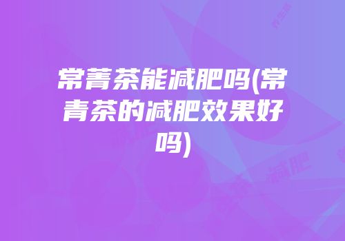 常菁茶能减肥吗(常青茶的减肥效果好吗)