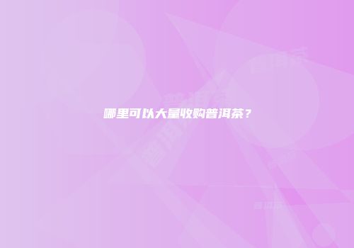 哪里可以大量收购普洱茶？