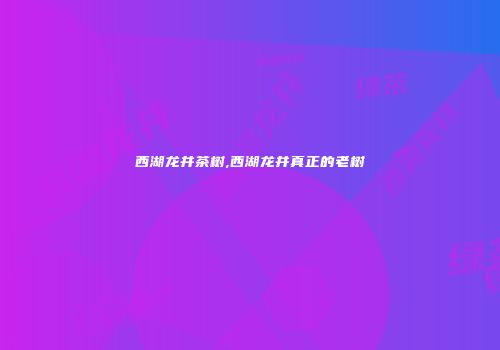 西湖龙井茶树,西湖龙井真正的老树