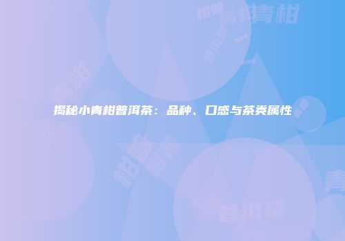 揭秘小青柑普洱茶：品种、口感与茶类属性