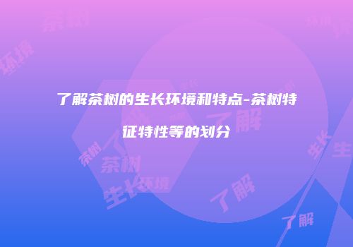 了解茶树的生长环境和特点-茶树特征特性等的划分