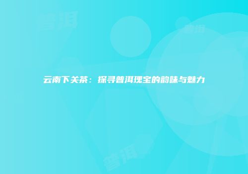 云南下关茶：探寻普洱瑰宝的韵味与魅力
