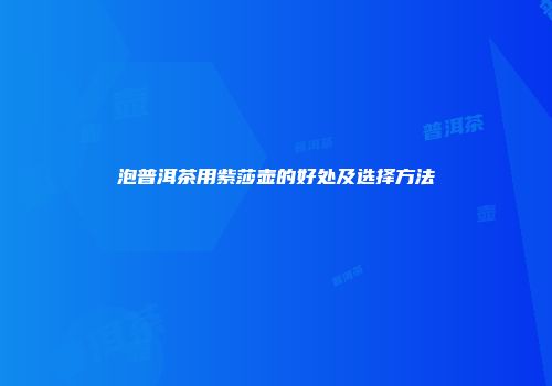 泡普洱茶用紫莎壶的好处及选择方法