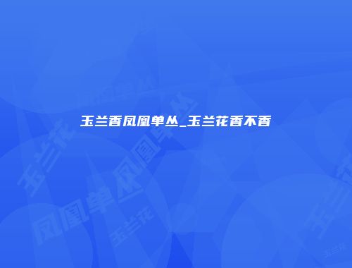 玉兰香凤凰单丛_玉兰花香不香