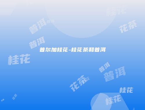普尔加桂花-桂花茶和普洱