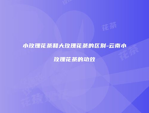 小玫瑰花茶和大玫瑰花茶的区别-云南小玫瑰花茶的功效