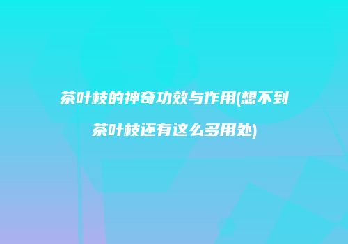 茶叶枝的神奇功效与作用(想不到茶叶枝还有这么多用处)