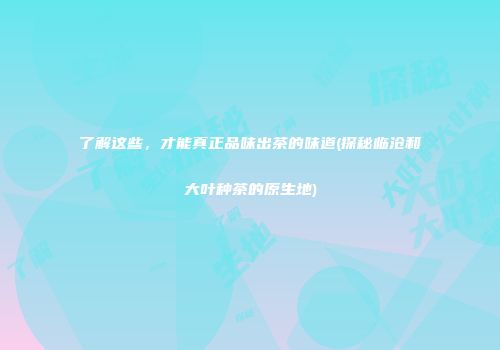 了解这些，才能真正品味出茶的味道(探秘临沧和大叶种茶的原生地)