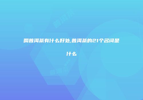 喝普洱茶有什么好处,普洱茶的21个名词是什么