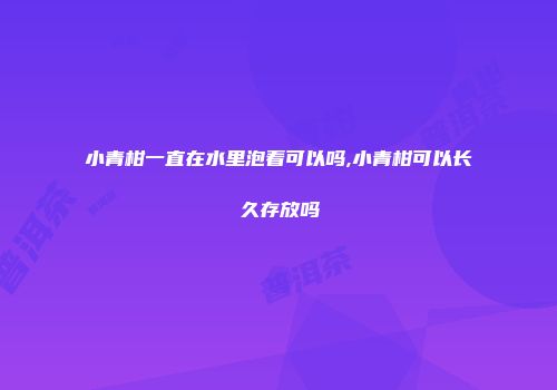 小青柑一直在水里泡着可以吗,小青柑可以长久存放吗