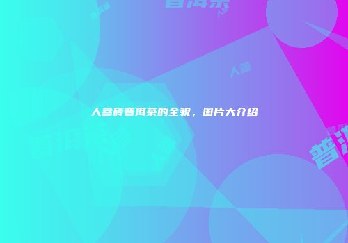 人参砖普洱茶的全貌，图片大介绍