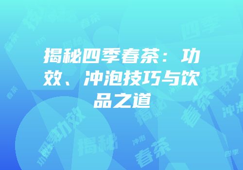 揭秘四季春茶：功效、冲泡技巧与饮品之道