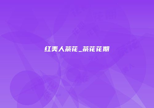 红美人茶花_茶花花期