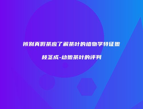 辨别真假茶应了解茶叶的植物学特征嫩枝茎成-幼嫩茶叶的评判