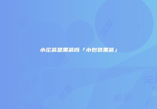 小沱茶是黑茶吗「小包装黑茶」