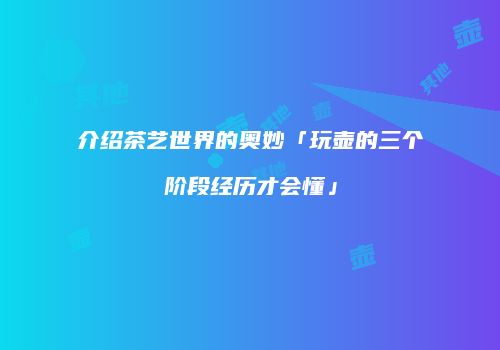 介绍茶艺世界的奥妙「玩壶的三个阶段经历才会懂」