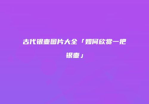古代银壶图片大全「如何欣赏一把银壶」