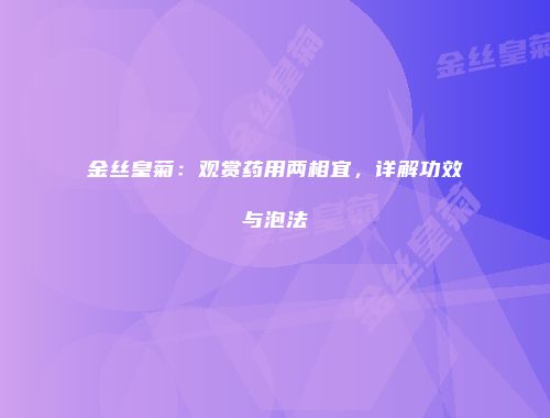 金丝皇菊：观赏药用两相宜，详解功效与泡法