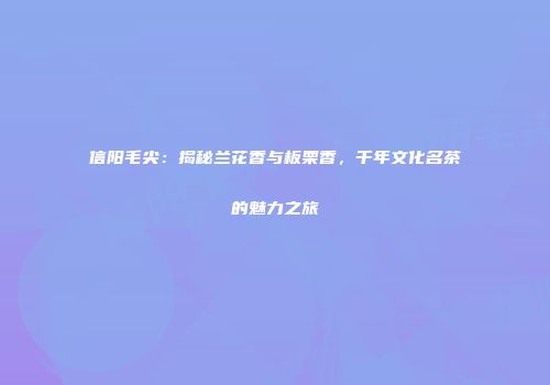 信阳毛尖：揭秘兰花香与板栗香，千年文化名茶的魅力之旅