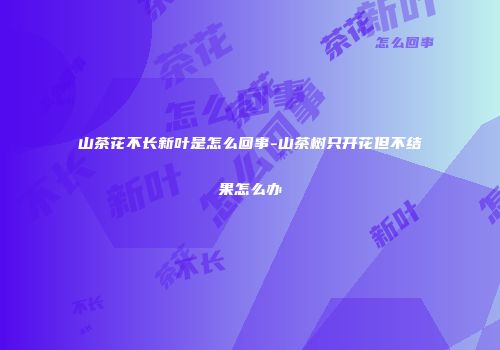 山茶花不长新叶是怎么回事-山茶树只开花但不结果怎么办