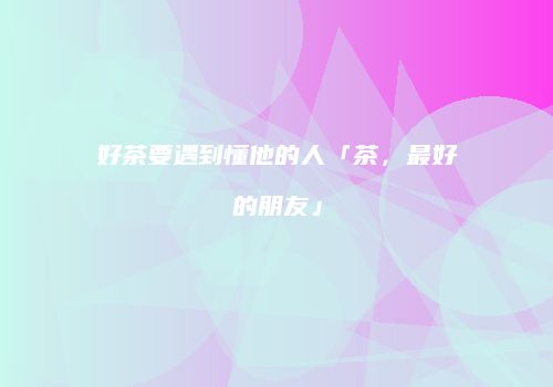 好茶要遇到懂他的人「茶，最好的朋友」