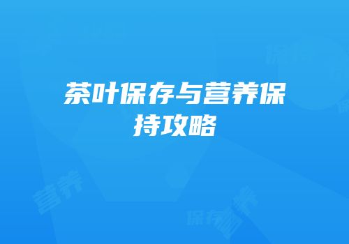 茶叶保存与营养保持攻略