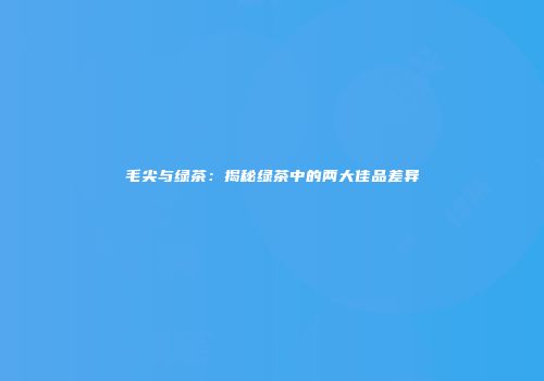 毛尖与绿茶：揭秘绿茶中的两大佳品差异