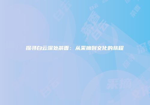 探寻白云深处茶香：从采摘到文化的旅程