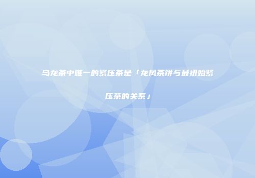 乌龙茶中唯一的紧压茶是「龙凤茶饼与最初始紧压茶的关系」