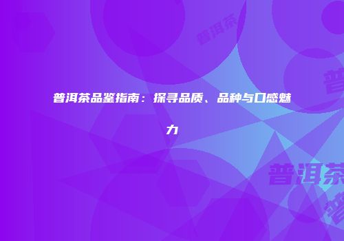 普洱茶品鉴指南：探寻品质、品种与口感魅力