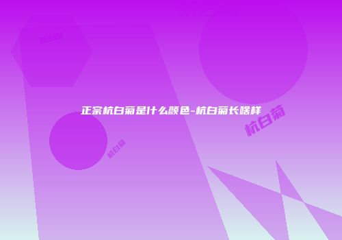 正宗杭白菊是什么颜色-杭白菊长啥样
