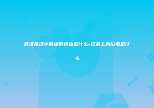 普洱茶汤中的棉絮状物是什么-红茶上的绒毛是什么