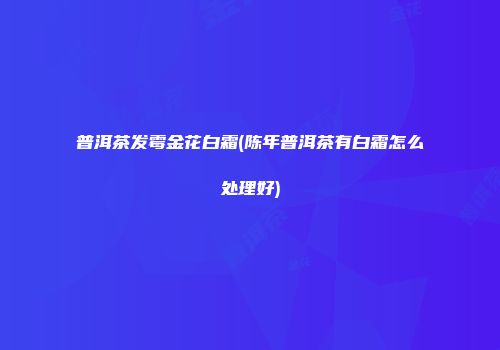 普洱茶发霉金花白霜(陈年普洱茶有白霜怎么处理好)