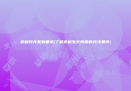 茶树对光照的要求(了解茶树生长所需的光线条件)
