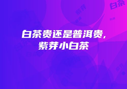 白茶贵还是普洱贵,紫芽小白茶