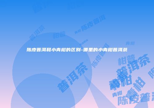 陈皮普洱和小青柑的区别-哪里的小青柑普洱茶