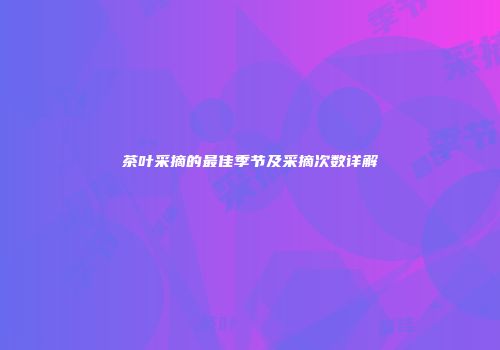茶叶采摘的最佳季节及采摘次数详解