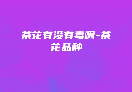 茶花有没有毒啊-茶花品种