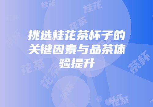 挑选桂花茶杯子的关键因素与品茶体验提升