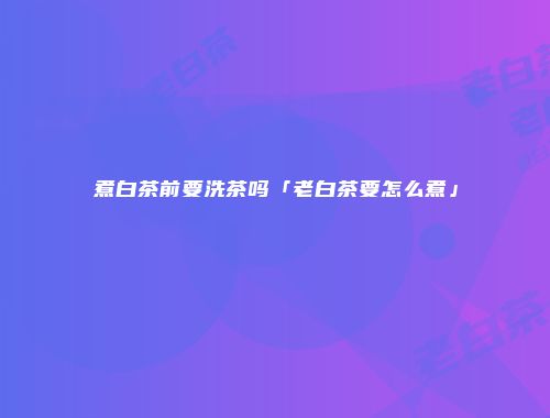 煮白茶前要洗茶吗「老白茶要怎么煮」