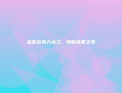 品尝岩茶九龙兰，领略茶香之美