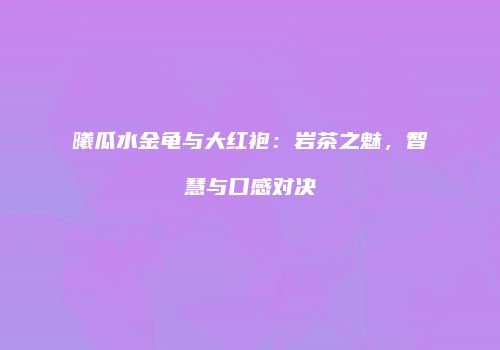 曦瓜水金龟与大红袍：岩茶之魅，智慧与口感对决