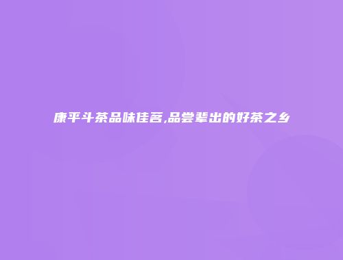 康平斗茶品味佳茗,品尝辈出的好茶之乡