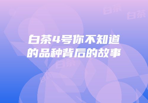 白茶4号你不知道的品种背后的故事