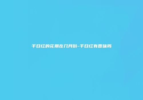 千日红的花期在几月份-千日红有香味吗