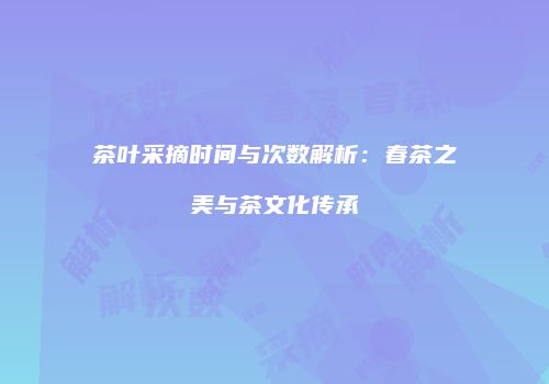 茶叶采摘时间与次数解析：春茶之美与茶文化传承