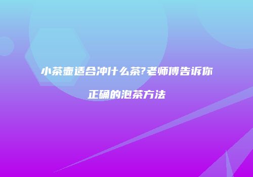 小茶壶适合冲什么茶?老师傅告诉你正确的泡茶方法